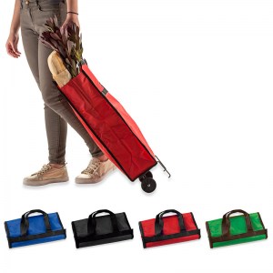 Carrito Shopping bag Plegable VA-414